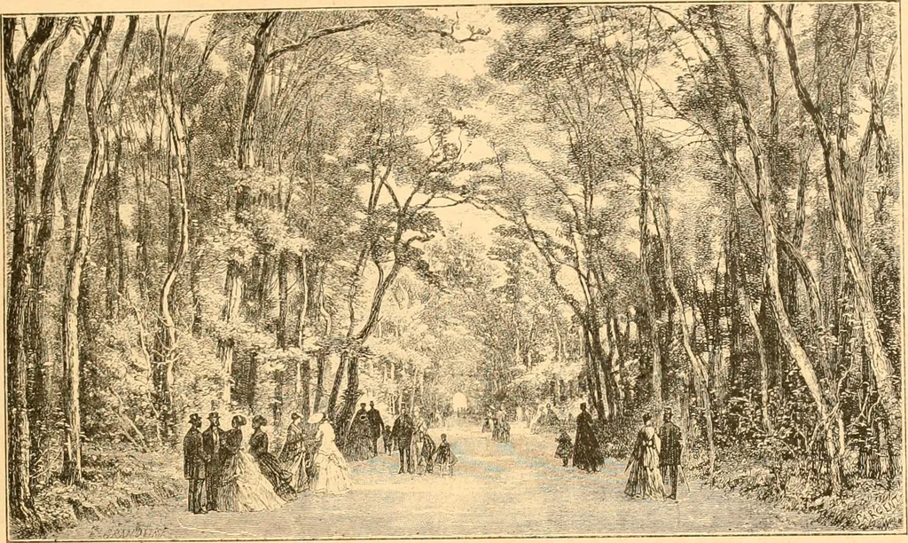 An illustration from L'art des jardins. Parcs--jardins--promenades--étude historique--principles de la composition des jardins--plantations--décoration pittoresque et artistique des parcs et jardins publics; traité pratique et didactique, 1886, leaf 12