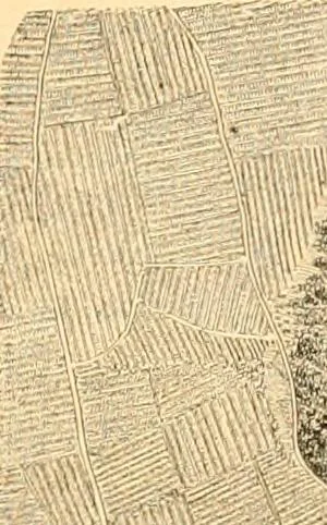 An illustration from L'art des jardins. Parcs--jardins--promenades--étude historique--principles de la composition des jardins--plantations--décoration pittoresque et artistique des parcs et jardins publics; traité pratique et didactique, 1886, leaf 132