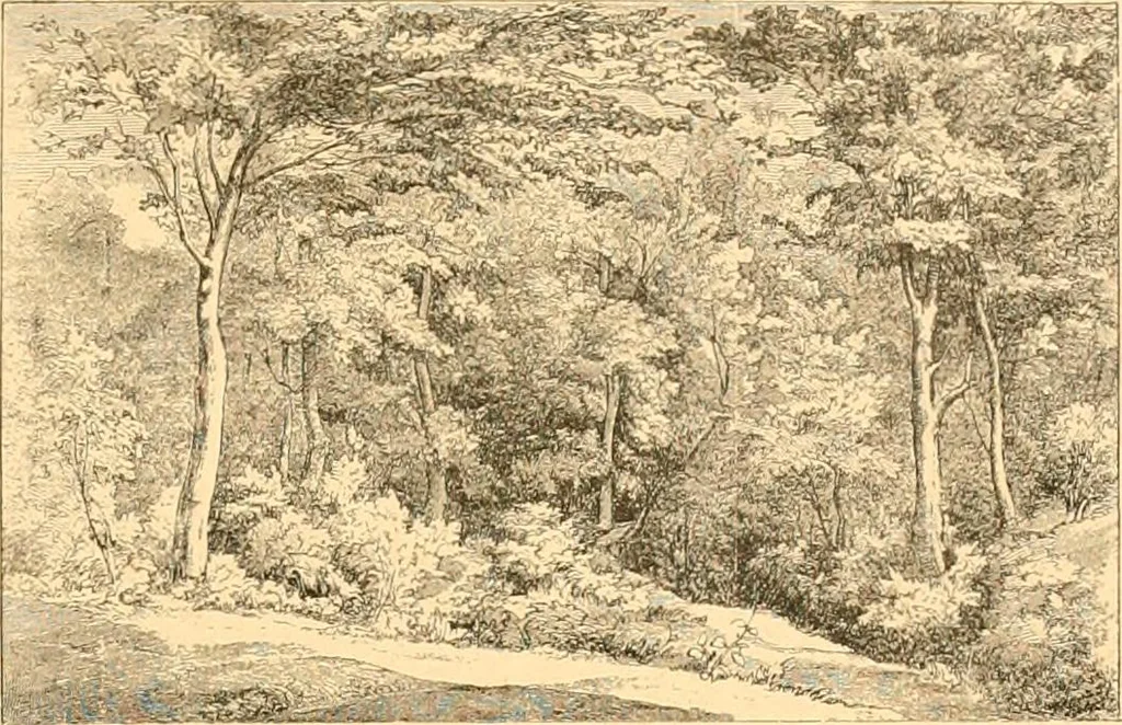 An illustration from L'art des jardins. Parcs--jardins--promenades--étude historique--principles de la composition des jardins--plantations--décoration pittoresque et artistique des parcs et jardins publics; traité pratique et didactique, 1886, leaf 144