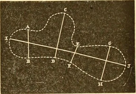 An illustration from L'art des jardins. Parcs--jardins--promenades--étude historique--principles de la composition des jardins--plantations--décoration pittoresque et artistique des parcs et jardins publics; traité pratique et didactique, 1886, leaf 158
