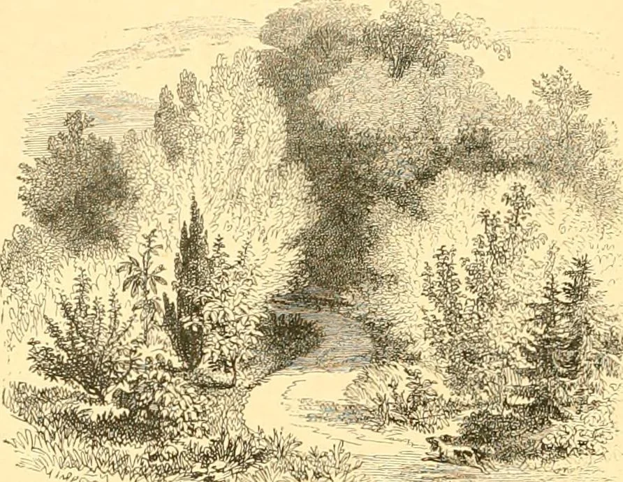 An illustration from L'art des jardins. Parcs--jardins--promenades--étude historique--principles de la composition des jardins--plantations--décoration pittoresque et artistique des parcs et jardins publics; traité pratique et didactique, 1886, leaf 163