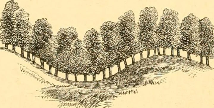 An illustration from L'art des jardins. Parcs--jardins--promenades--étude historique--principles de la composition des jardins--plantations--décoration pittoresque et artistique des parcs et jardins publics; traité pratique et didactique, 1886, leaf 163