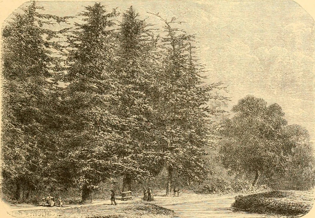 An illustration from L'art des jardins. Parcs--jardins--promenades--étude historique--principles de la composition des jardins--plantations--décoration pittoresque et artistique des parcs et jardins publics; traité pratique et didactique, 1886, leaf 166
