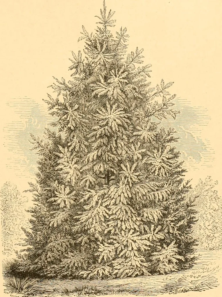 An illustration from L'art des jardins. Parcs--jardins--promenades--étude historique--principles de la composition des jardins--plantations--décoration pittoresque et artistique des parcs et jardins publics; traité pratique et didactique, 1886, leaf 170