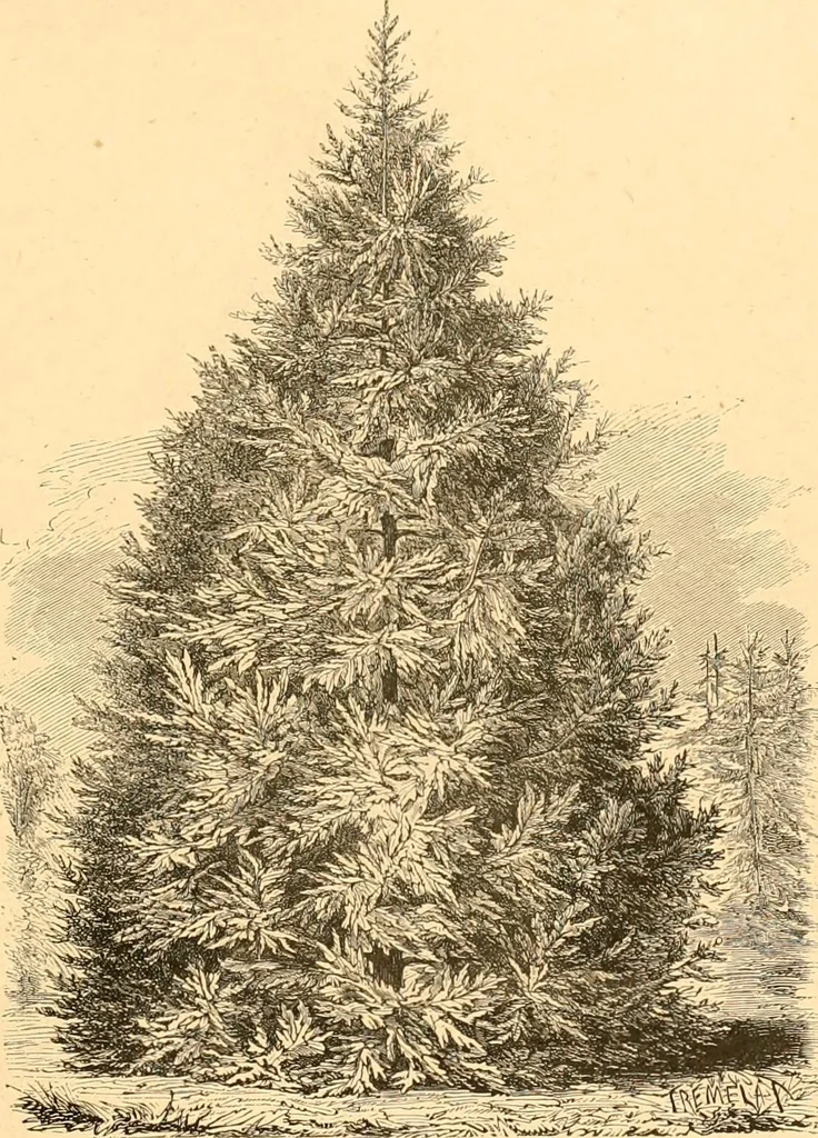 An illustration from L'art des jardins. Parcs--jardins--promenades--étude historique--principles de la composition des jardins--plantations--décoration pittoresque et artistique des parcs et jardins publics; traité pratique et didactique, 1886, leaf 172