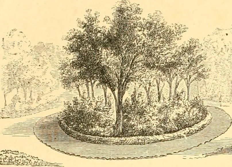 An illustration from L'art des jardins. Parcs--jardins--promenades--étude historique--principles de la composition des jardins--plantations--décoration pittoresque et artistique des parcs et jardins publics; traité pratique et didactique, 1886, leaf 179