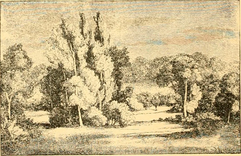 An illustration from L'art des jardins. Parcs--jardins--promenades--étude historique--principles de la composition des jardins--plantations--décoration pittoresque et artistique des parcs et jardins publics; traité pratique et didactique, 1886, leaf 179