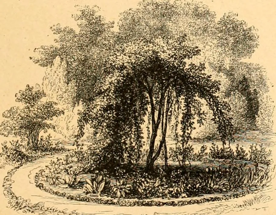 An illustration from L'art des jardins. Parcs--jardins--promenades--étude historique--principles de la composition des jardins--plantations--décoration pittoresque et artistique des parcs et jardins publics; traité pratique et didactique, 1886, leaf 182