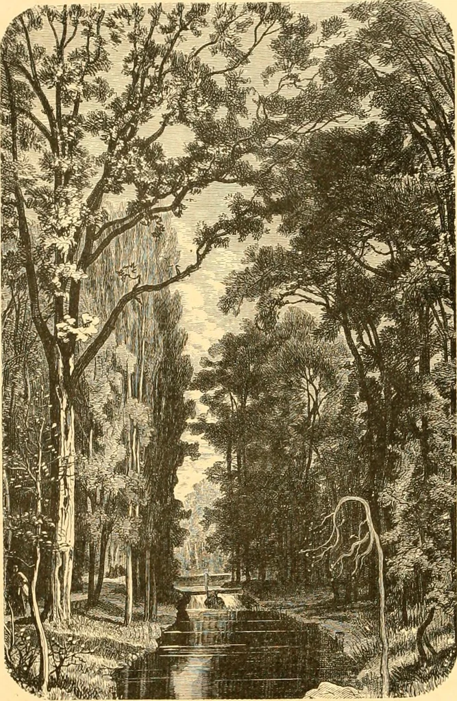 An illustration from L'art des jardins. Parcs--jardins--promenades--étude historique--principles de la composition des jardins--plantations--décoration pittoresque et artistique des parcs et jardins publics; traité pratique et didactique, 1886, leaf 187