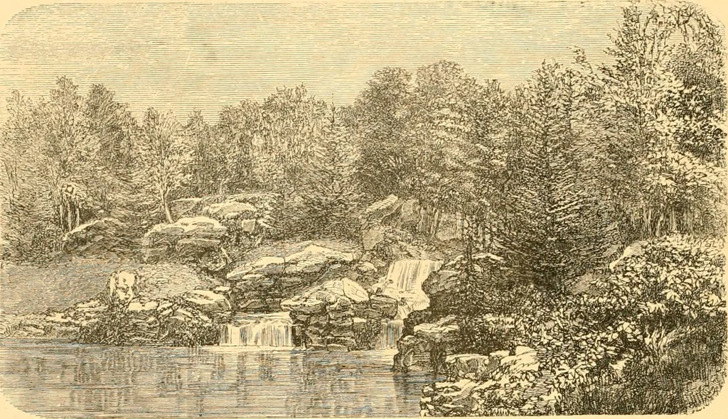 An illustration from L'art des jardins. Parcs--jardins--promenades--étude historique--principles de la composition des jardins--plantations--décoration pittoresque et artistique des parcs et jardins publics; traité pratique et didactique, 1886, leaf 191