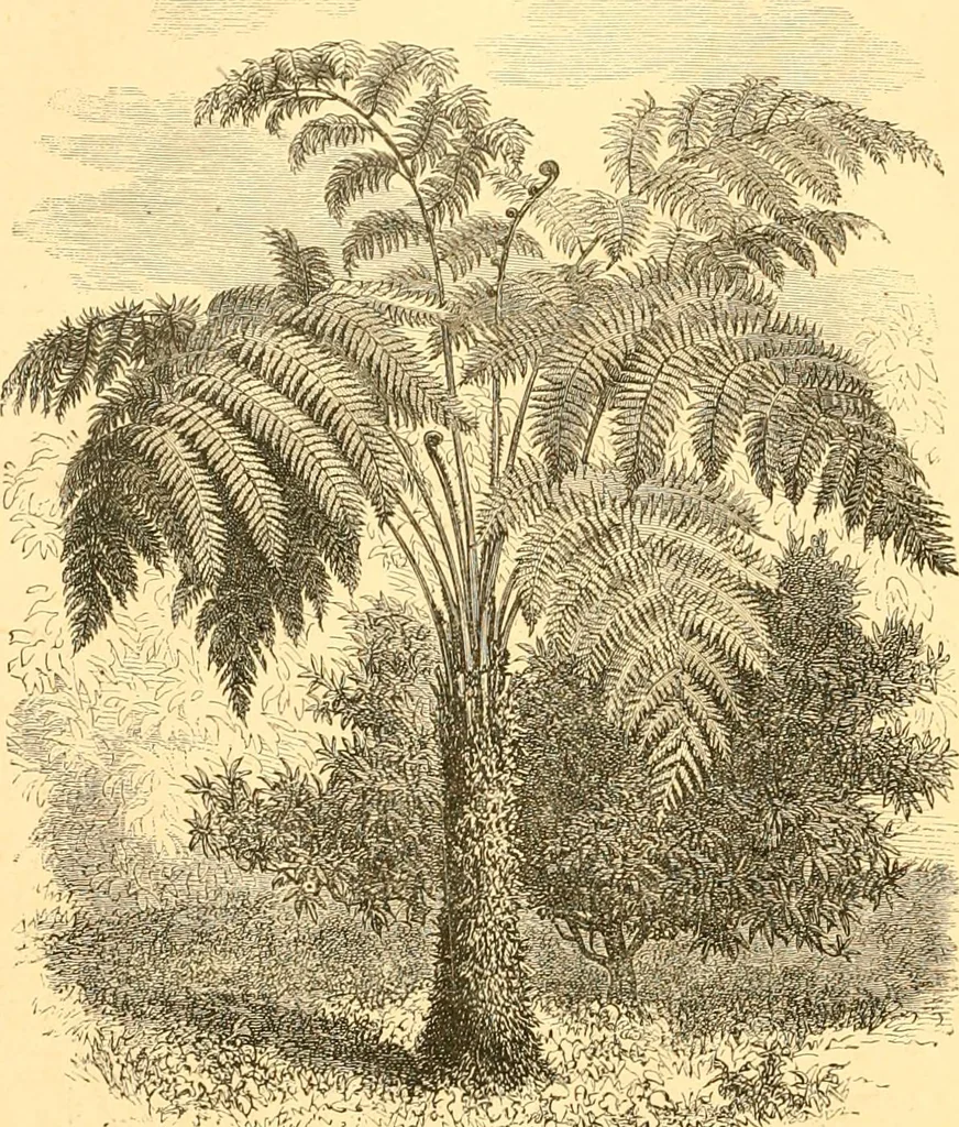 An illustration from L'art des jardins. Parcs--jardins--promenades--étude historique--principles de la composition des jardins--plantations--décoration pittoresque et artistique des parcs et jardins publics; traité pratique et didactique, 1886, leaf 211