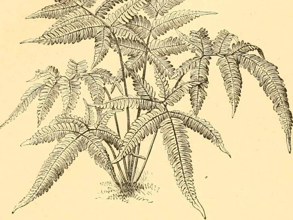 An illustration from L'art des jardins. Parcs--jardins--promenades--étude historique--principles de la composition des jardins--plantations--décoration pittoresque et artistique des parcs et jardins publics; traité pratique et didactique, 1886, leaf 213
