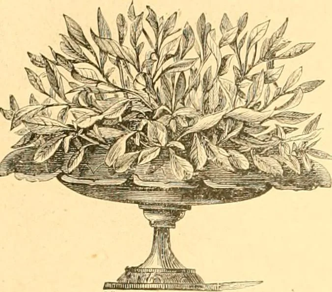 An illustration from L'art des jardins. Parcs--jardins--promenades--étude historique--principles de la composition des jardins--plantations--décoration pittoresque et artistique des parcs et jardins publics; traité pratique et didactique, 1886, leaf 215