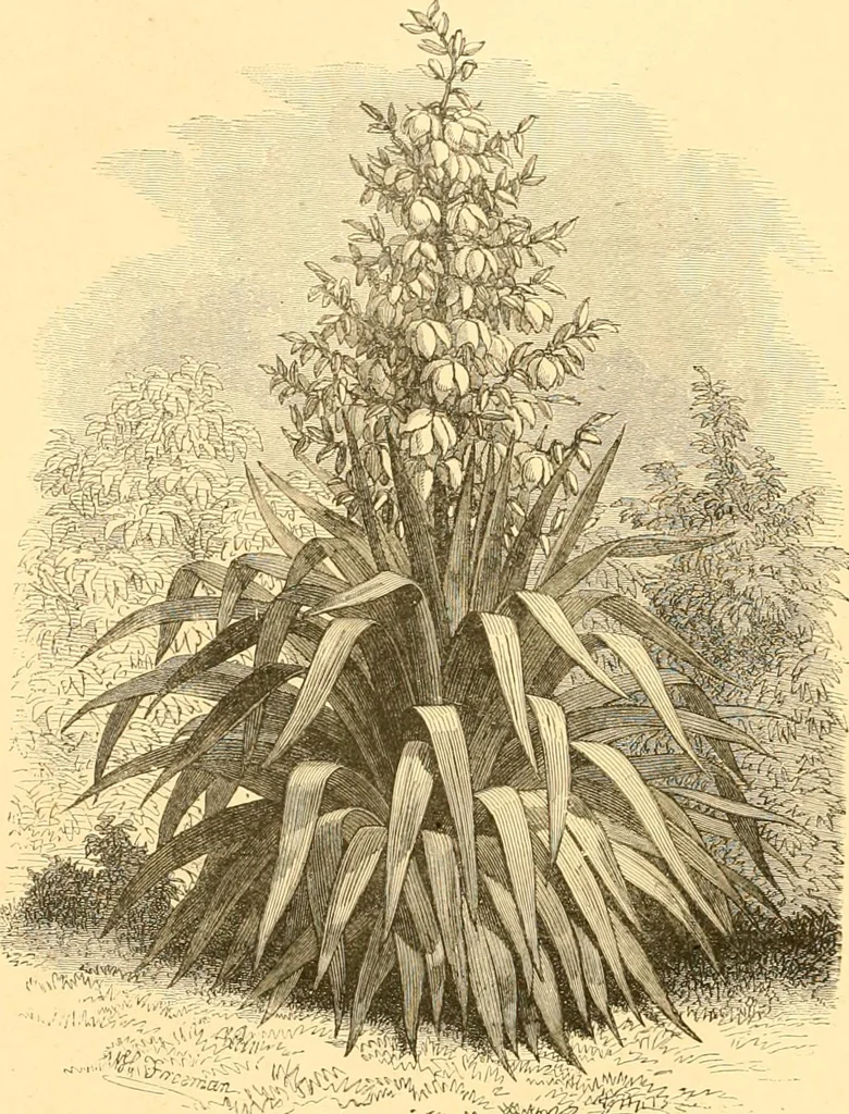 An illustration from L'art des jardins. Parcs--jardins--promenades--étude historique--principles de la composition des jardins--plantations--décoration pittoresque et artistique des parcs et jardins publics; traité pratique et didactique, 1886, leaf 217