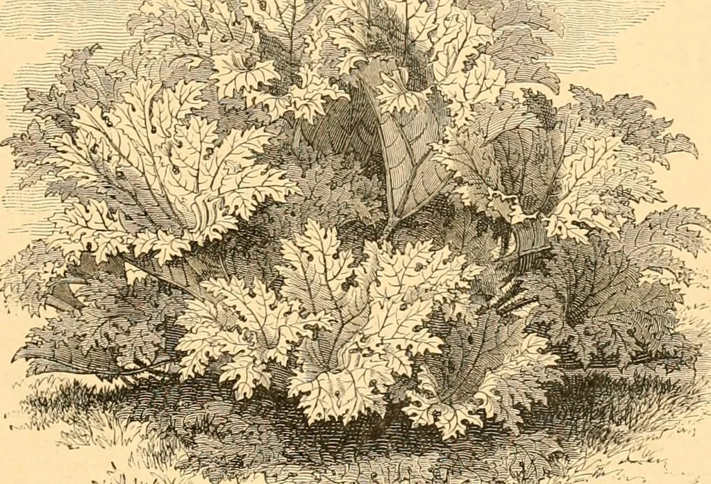An illustration from L'art des jardins. Parcs--jardins--promenades--étude historique--principles de la composition des jardins--plantations--décoration pittoresque et artistique des parcs et jardins publics; traité pratique et didactique, 1886, leaf 222
