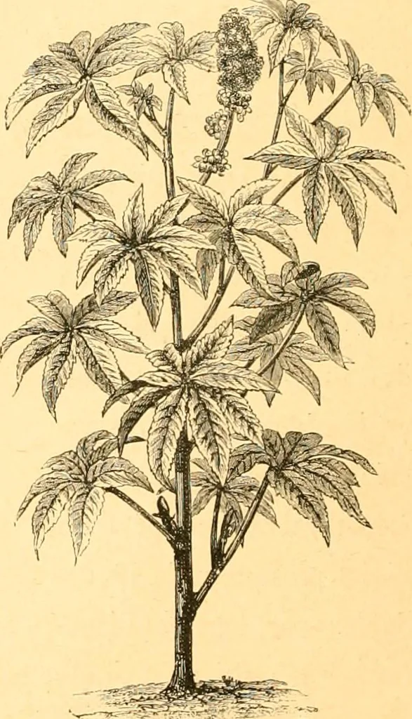 An illustration from L'art des jardins. Parcs--jardins--promenades--étude historique--principles de la composition des jardins--plantations--décoration pittoresque et artistique des parcs et jardins publics; traité pratique et didactique, 1886, leaf 223