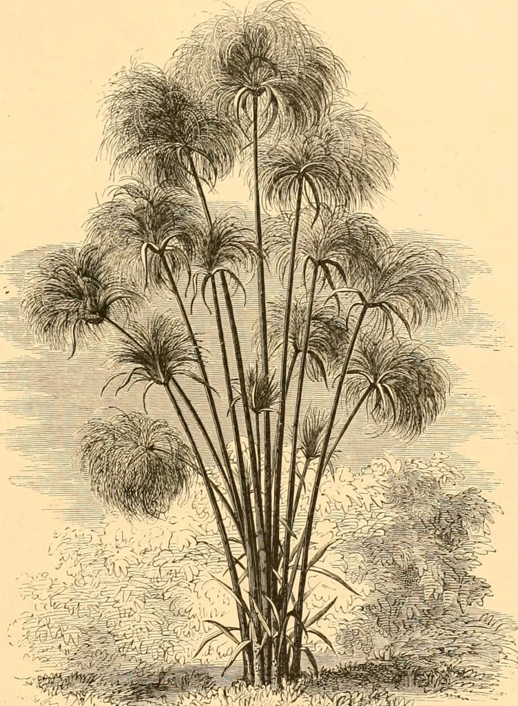 An illustration from L'art des jardins. Parcs--jardins--promenades--étude historique--principles de la composition des jardins--plantations--décoration pittoresque et artistique des parcs et jardins publics; traité pratique et didactique, 1886, leaf 232
