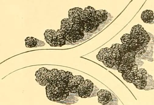 An illustration from L'art des jardins. Parcs--jardins--promenades--étude historique--principles de la composition des jardins--plantations--décoration pittoresque et artistique des parcs et jardins publics; traité pratique et didactique, 1886, leaf 239