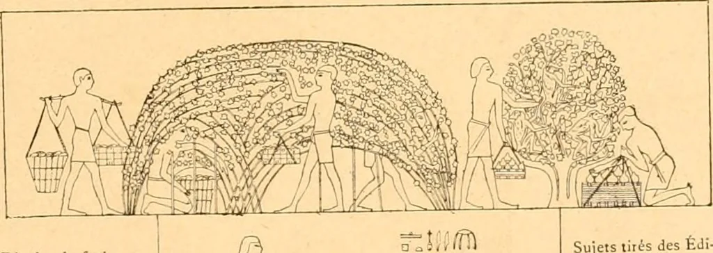 An illustration from L'art des jardins. Parcs--jardins--promenades--étude historique--principles de la composition des jardins--plantations--décoration pittoresque et artistique des parcs et jardins publics; traité pratique et didactique, 1886, leaf 24