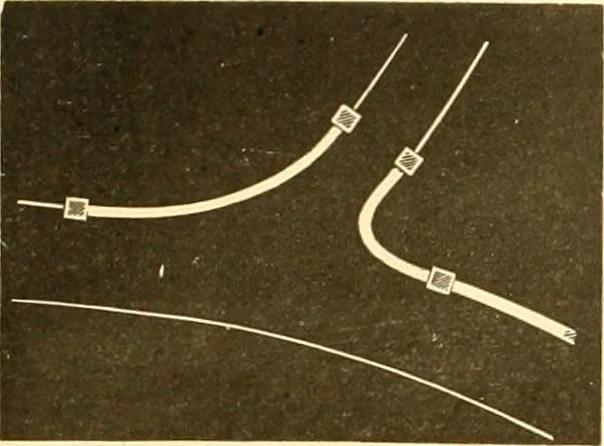 An illustration from L'art des jardins. Parcs--jardins--promenades--étude historique--principles de la composition des jardins--plantations--décoration pittoresque et artistique des parcs et jardins publics; traité pratique et didactique, 1886, leaf 243