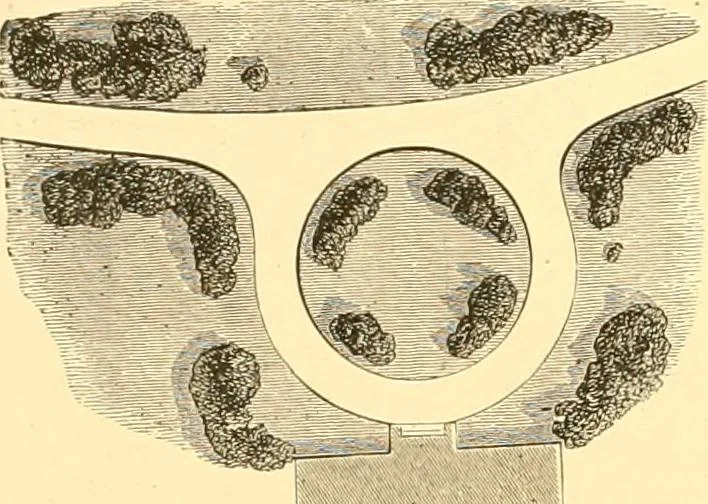 An illustration from L'art des jardins. Parcs--jardins--promenades--étude historique--principles de la composition des jardins--plantations--décoration pittoresque et artistique des parcs et jardins publics; traité pratique et didactique, 1886, leaf 245