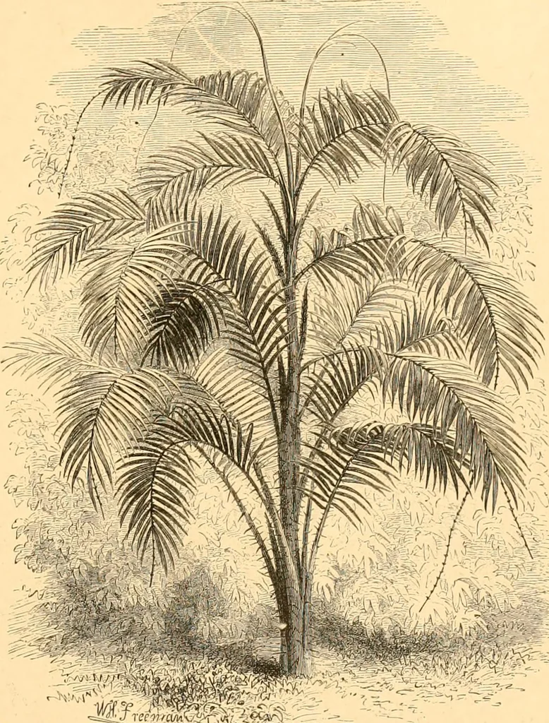 An illustration from L'art des jardins. Parcs--jardins--promenades--étude historique--principles de la composition des jardins--plantations--décoration pittoresque et artistique des parcs et jardins publics; traité pratique et didactique, 1886, leaf 252