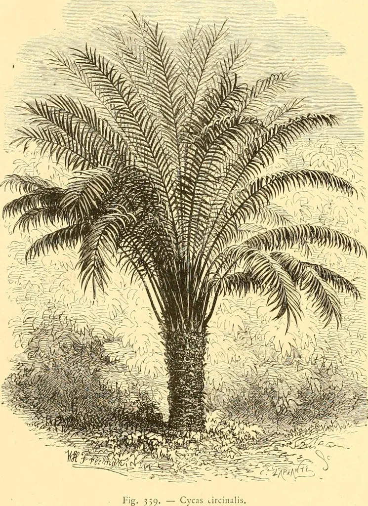 An illustration from L'art des jardins. Parcs--jardins--promenades--étude historique--principles de la composition des jardins--plantations--décoration pittoresque et artistique des parcs et jardins publics; traité pratique et didactique, 1886, leaf 253