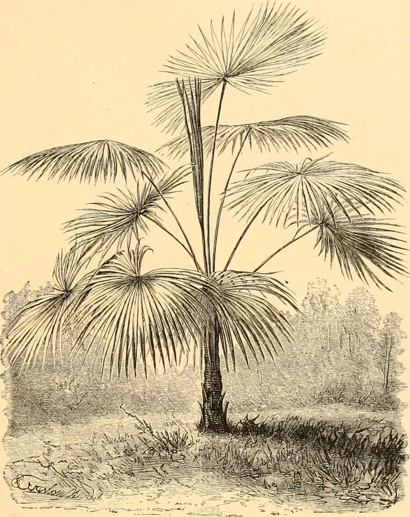 An illustration from L'art des jardins. Parcs--jardins--promenades--étude historique--principles de la composition des jardins--plantations--décoration pittoresque et artistique des parcs et jardins publics; traité pratique et didactique, 1886, leaf 254