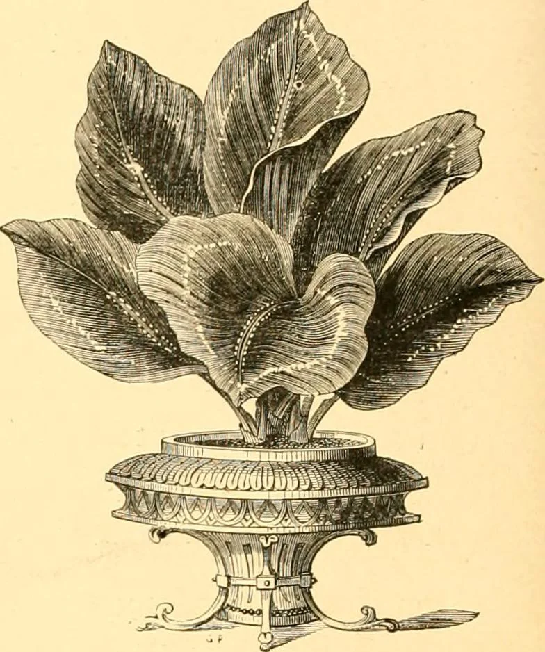 An illustration from L'art des jardins. Parcs--jardins--promenades--étude historique--principles de la composition des jardins--plantations--décoration pittoresque et artistique des parcs et jardins publics; traité pratique et didactique, 1886, leaf 255