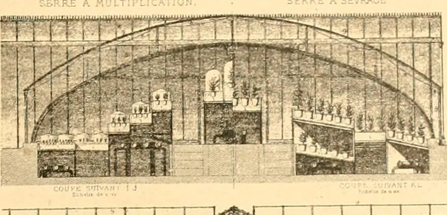 An illustration from L'art des jardins. Parcs--jardins--promenades--étude historique--principles de la composition des jardins--plantations--décoration pittoresque et artistique des parcs et jardins publics; traité pratique et didactique, 1886, leaf 256