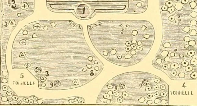 An illustration from L'art des jardins. Parcs--jardins--promenades--étude historique--principles de la composition des jardins--plantations--décoration pittoresque et artistique des parcs et jardins publics; traité pratique et didactique, 1886, leaf 287