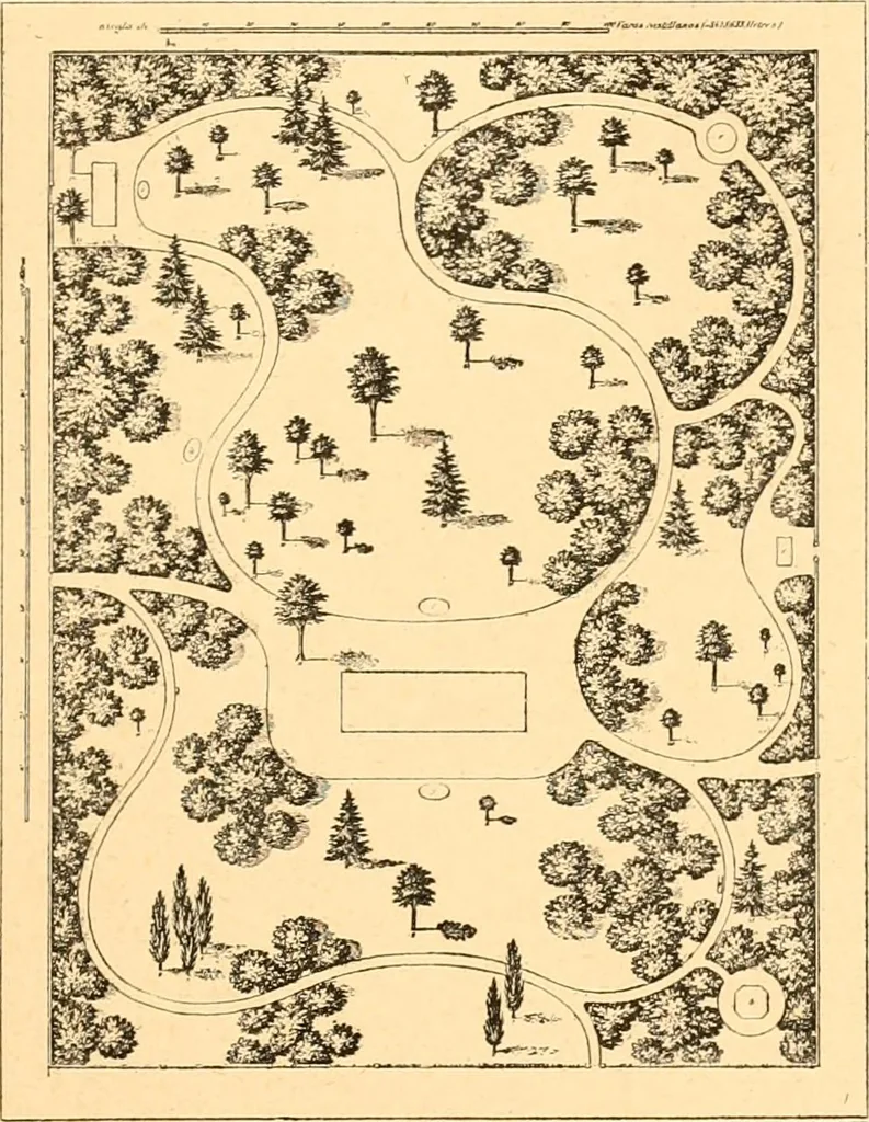 An illustration from L'art des jardins. Parcs--jardins--promenades--étude historique--principles de la composition des jardins--plantations--décoration pittoresque et artistique des parcs et jardins publics; traité pratique et didactique, 1886, leaf 304