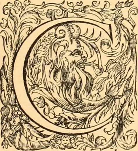 An illustration from L'art des jardins. Parcs--jardins--promenades--étude historique--principles de la composition des jardins--plantations--décoration pittoresque et artistique des parcs et jardins publics; traité pratique et didactique, 1886, leaf 314