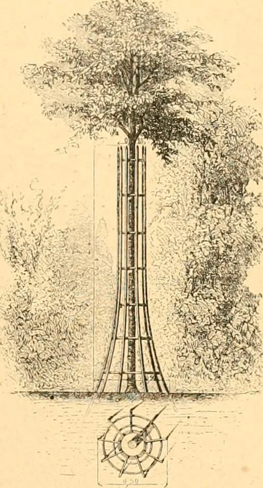 An illustration from L'art des jardins. Parcs--jardins--promenades--étude historique--principles de la composition des jardins--plantations--décoration pittoresque et artistique des parcs et jardins publics; traité pratique et didactique, 1886, leaf 326