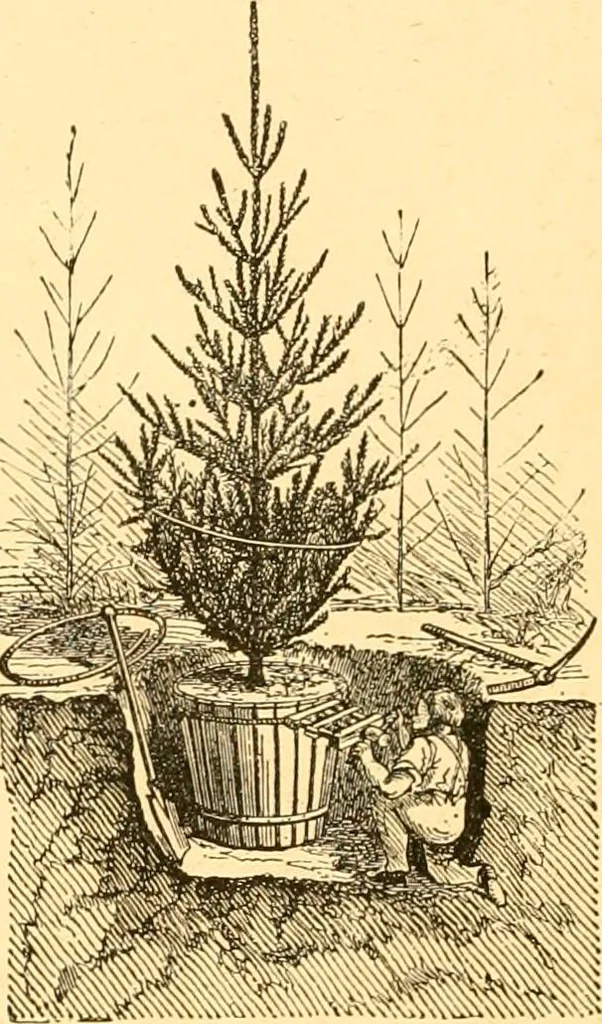 An illustration from L'art des jardins. Parcs--jardins--promenades--étude historique--principles de la composition des jardins--plantations--décoration pittoresque et artistique des parcs et jardins publics; traité pratique et didactique, 1886, leaf 345