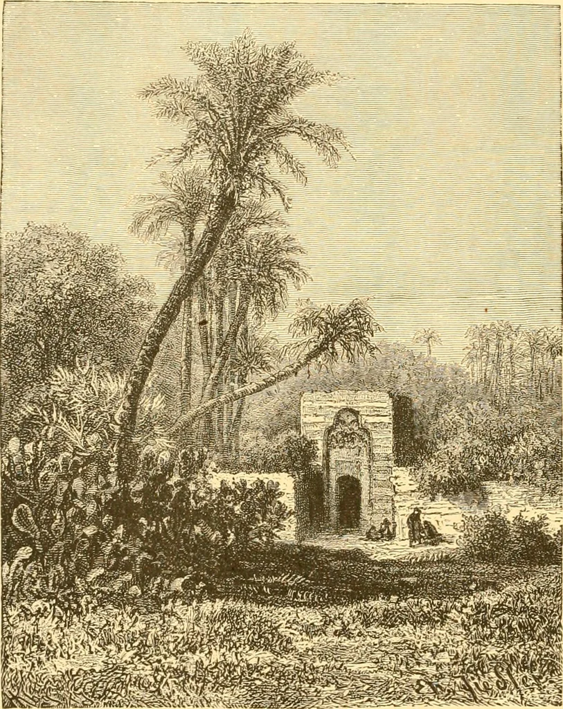 An illustration from L'art des jardins. Parcs--jardins--promenades--étude historique--principles de la composition des jardins--plantations--décoration pittoresque et artistique des parcs et jardins publics; traité pratique et didactique, 1886, leaf 353