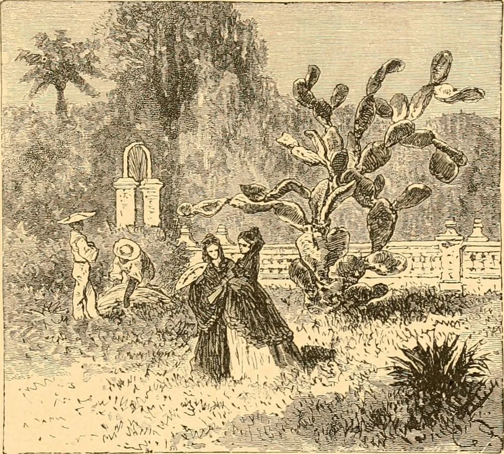 An illustration from L'art des jardins. Parcs--jardins--promenades--étude historique--principles de la composition des jardins--plantations--décoration pittoresque et artistique des parcs et jardins publics; traité pratique et didactique, 1886, leaf 354