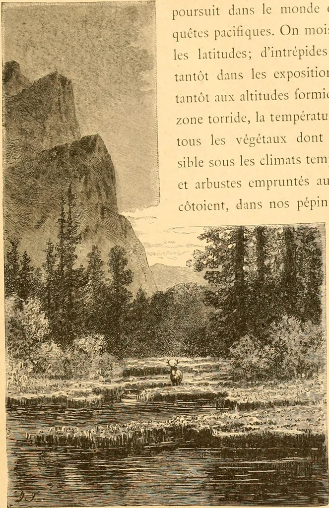 An illustration from L'art des jardins. Parcs--jardins--promenades--étude historique--principles de la composition des jardins--plantations--décoration pittoresque et artistique des parcs et jardins publics; traité pratique et didactique, 1886, leaf 356