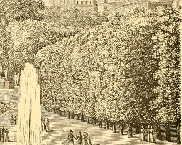 An illustration from L'art des jardins. Parcs--jardins--promenades--étude historique--principles de la composition des jardins--plantations--décoration pittoresque et artistique des parcs et jardins publics; traité pratique et didactique, 1886, leaf 99