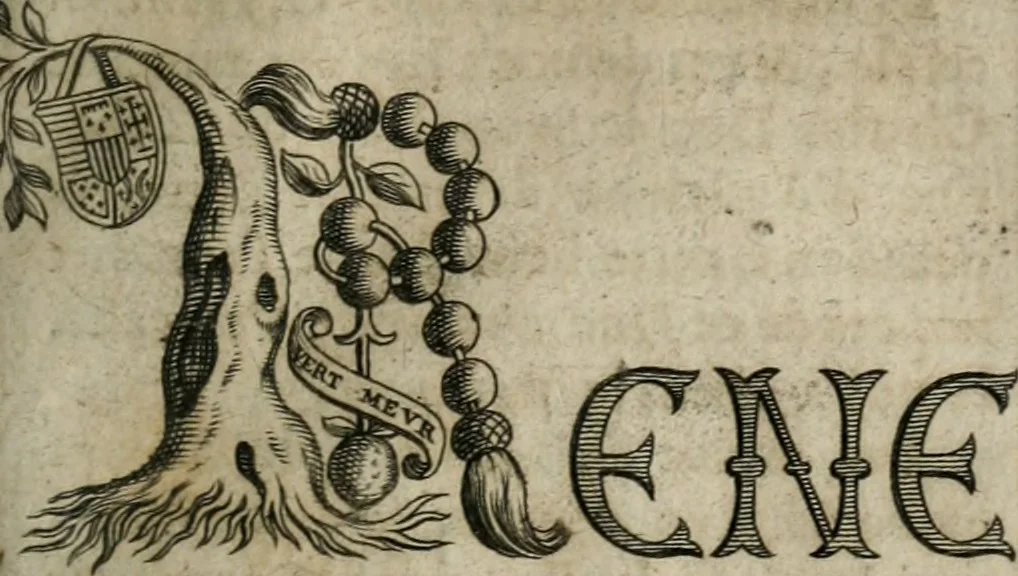 An illustration from L'art du blason justifié, ou, Les preuves du véritable art du blason ... : avec la méthode abbrégée des principes héraldiques, 1661, leaf 318