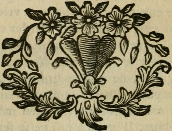 An illustration from L'art du peintre, doreur, vernisseur : ouvrage utile aux artistes & aux amateurs qui veulent entreprendre de peindre, dorer & vernir toutes sortes de sujets en bâtiments, meubles, bijoux, équipages, &c., 1774, leaf 155