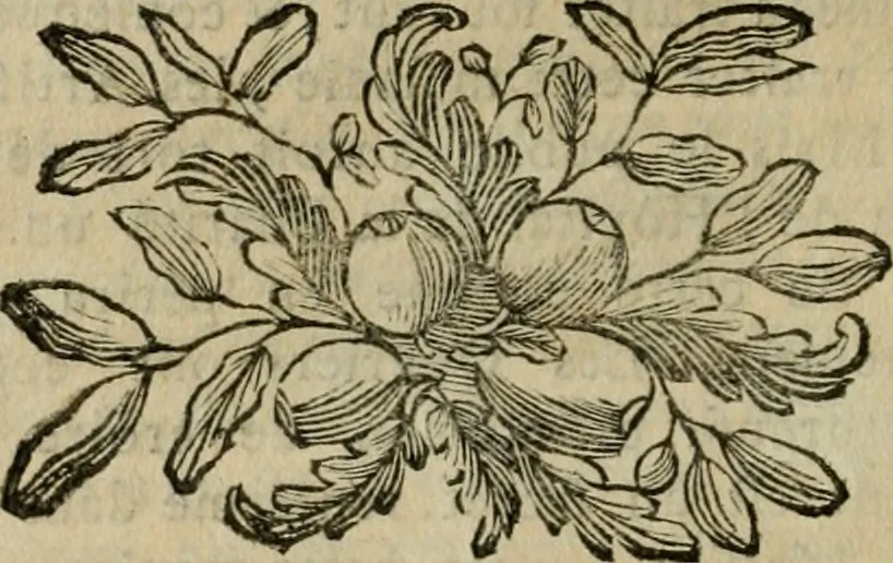 An illustration from L'art du peintre, doreur, vernisseur : ouvrage utile aux artistes & aux amateurs qui veulent entreprendre de peindre, dorer & vernir toutes sortes de sujets en bâtiments, meubles, bijoux, équipages, &c., 1774, leaf 165