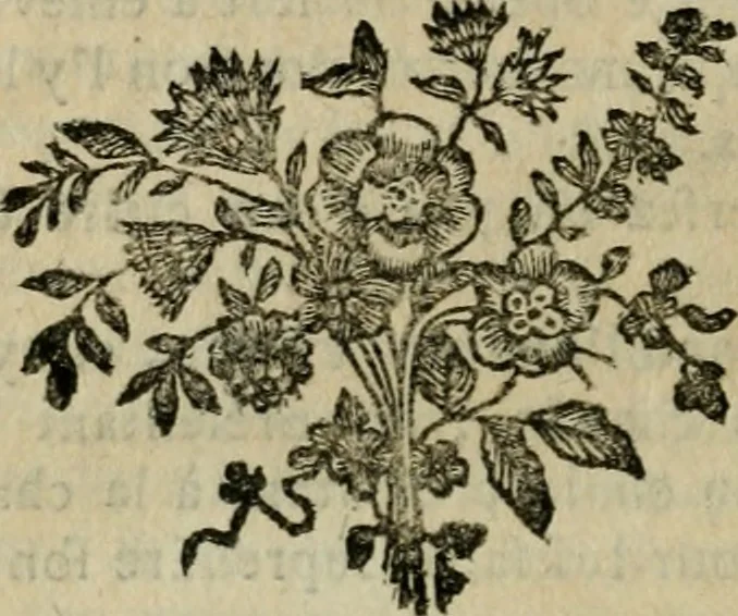 An illustration from L'art du peintre, doreur, vernisseur : ouvrage utile aux artistes & aux amateurs qui veulent entreprendre de peindre, dorer & vernir toutes sortes de sujets en bâtiments, meubles, bijoux, équipages, &c., 1774, leaf 213