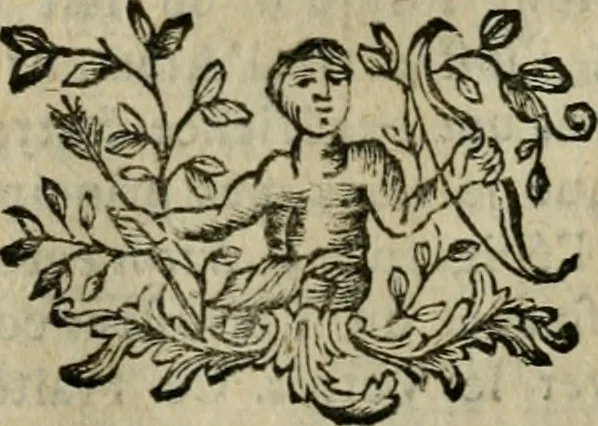An illustration from L'art du peintre, doreur, vernisseur : ouvrage utile aux artistes & aux amateurs qui veulent entreprendre de peindre, dorer & vernir toutes sortes de sujets en bâtiments, meubles, bijoux, équipages, &c., 1774, leaf 217