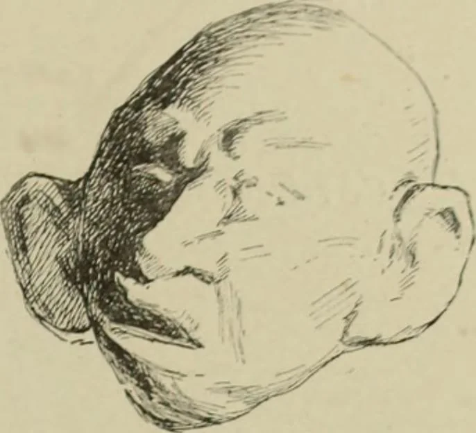 An illustration from L'art du rire et de la caricature, 1892, leaf 22