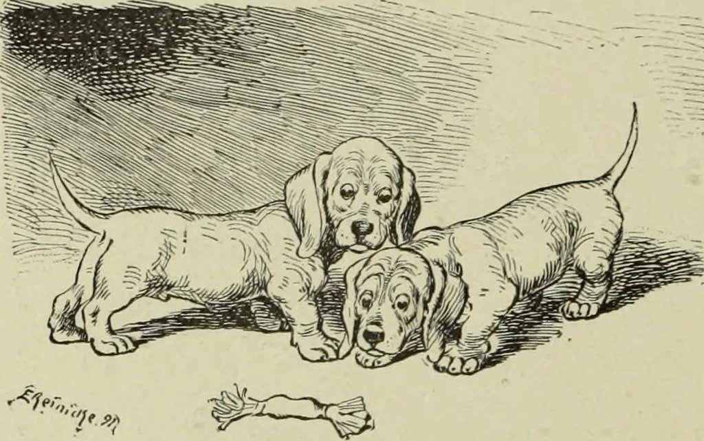 An illustration from L'art du rire et de la caricature, 1892, leaf 297