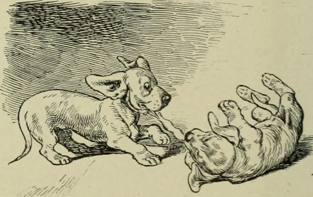 An illustration from L'art du rire et de la caricature, 1892, leaf 297