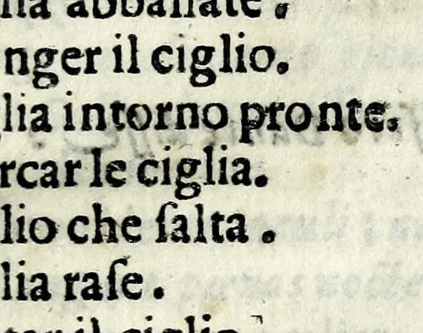 An illustration from L'arte de' cenni : con la quale formandosi fauella visibile, si tratta della muta eloquenza, che non e' altro che vn facondo silentio : diuisa in due parti ..., 1616, leaf 121