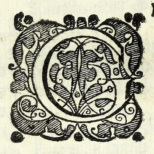 An illustration from L'arte de' cenni : con la quale formandosi fauella visibile, si tratta della muta eloquenza, che non e' altro che vn facondo silentio : diuisa in due parti ..., 1616, leaf 298