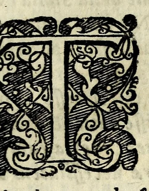 An illustration from L'arte de' cenni : con la quale formandosi fauella visibile, si tratta della muta eloquenza, che non e' altro che vn facondo silentio : diuisa in due parti ..., 1616, leaf 403